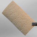 ممبران درم 30*15  با ضخامت 0.4-0.3 Regen Lyophilized Acellular Dermis Membrane - Image 2