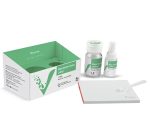 لوتینگ 1 وینسی اسمایل Vincismile - تصویر 2