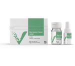 لوتینگ 1 وینسی اسمایل Vincismile